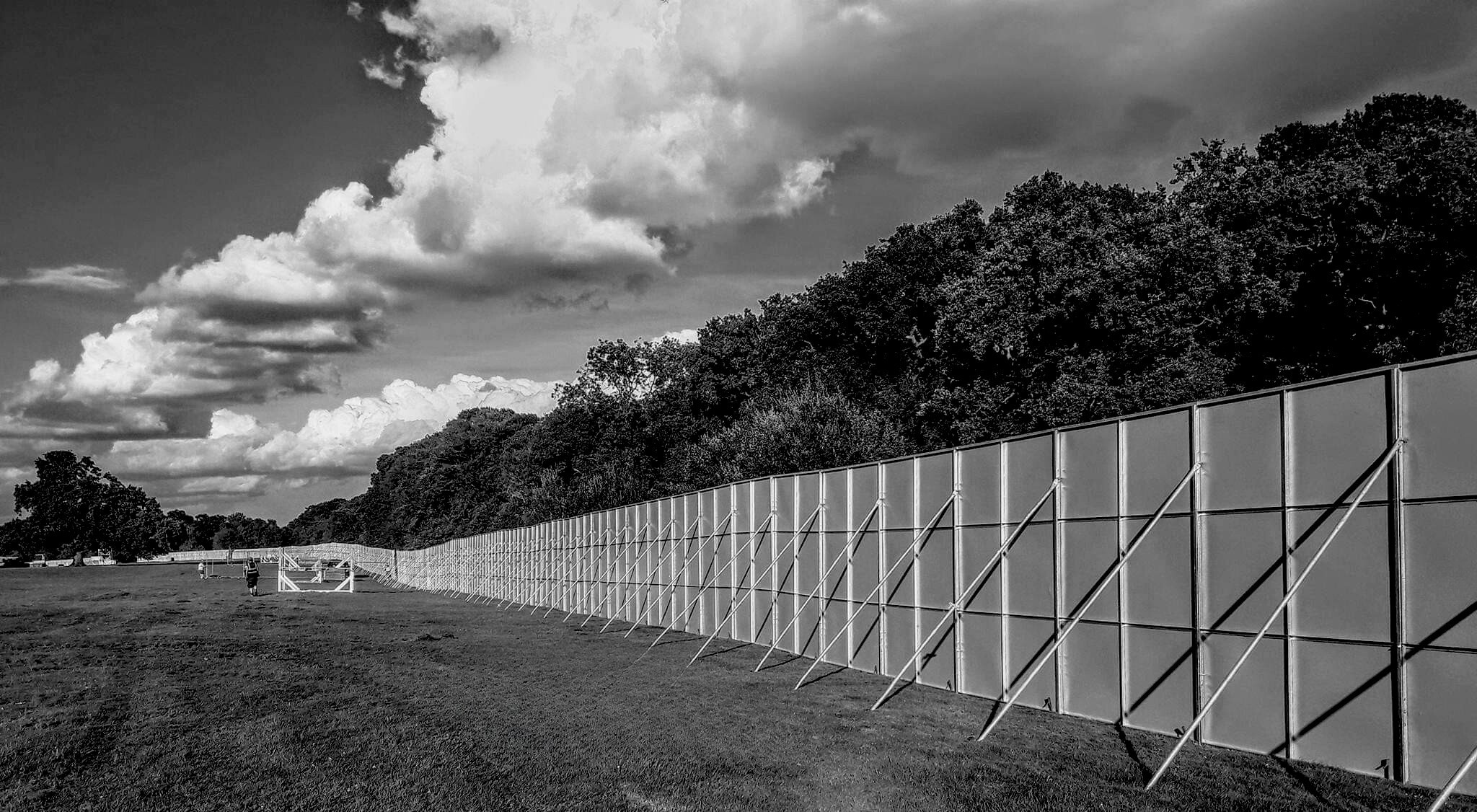 Black and White T-Shield